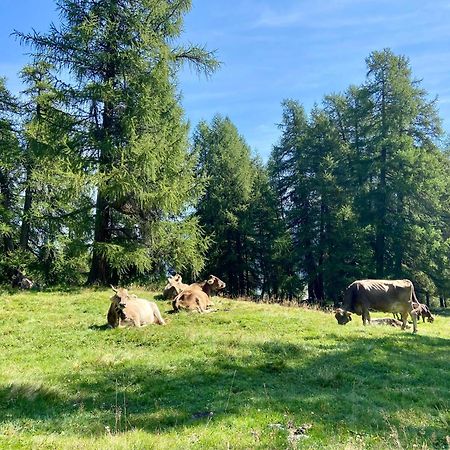 Alp Es-Cha Dadour Bed & Breakfast Madulain Екстериор снимка