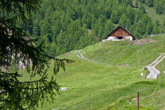 Alp Es-Cha Dadour Bed & Breakfast Madulain Екстериор снимка